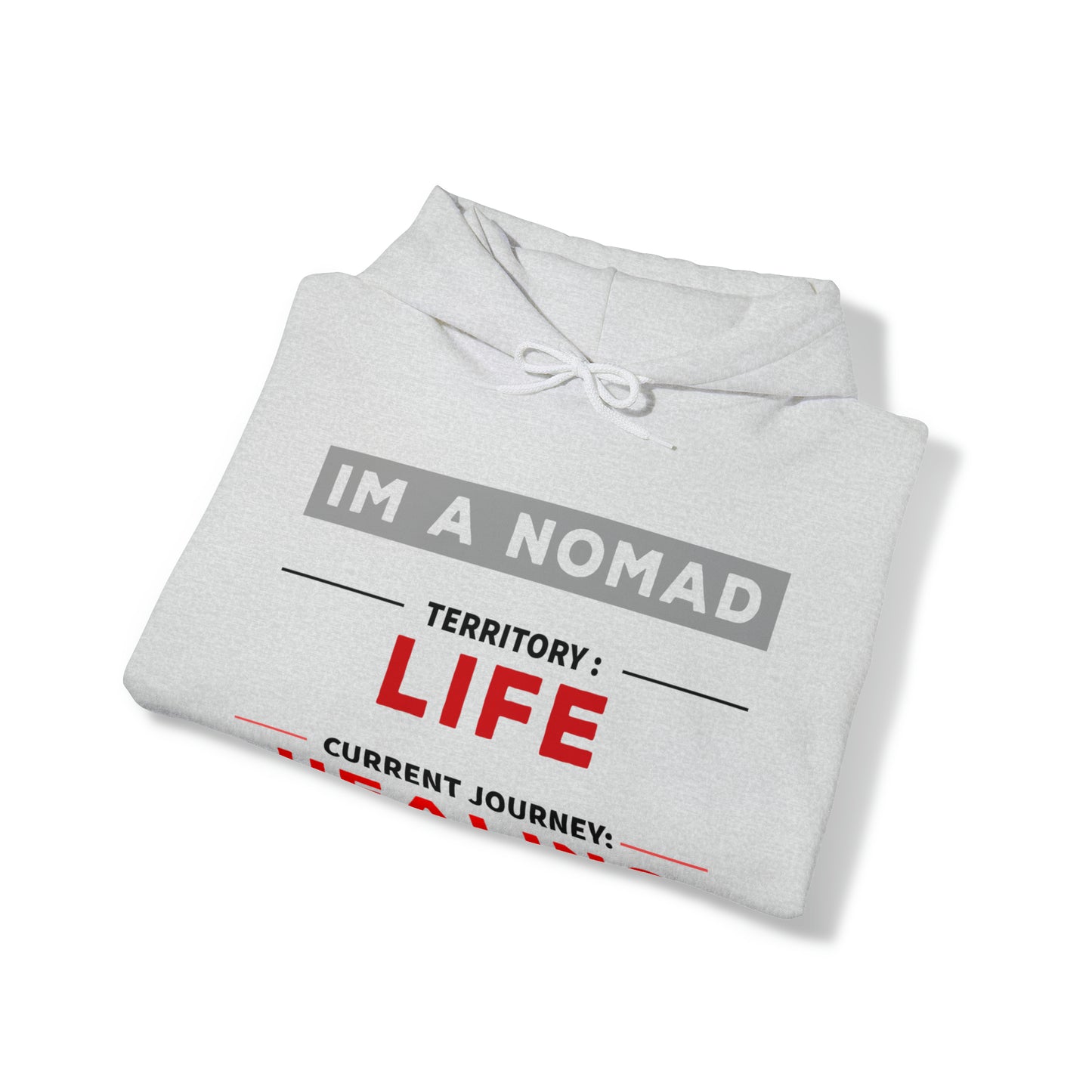 Current journey: Healing - Unisex Heavy Blend™ Hooded Sweatshirt