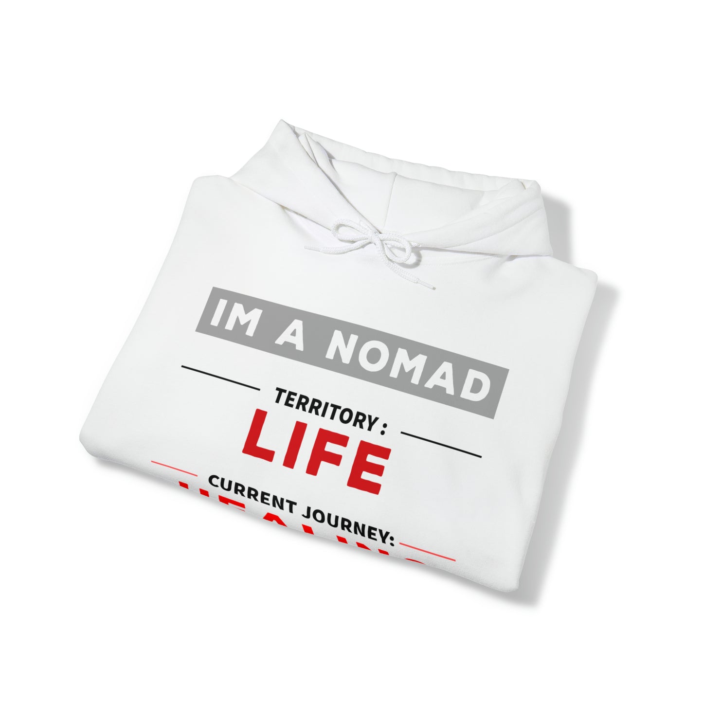 Current journey: Healing - Unisex Heavy Blend™ Hooded Sweatshirt