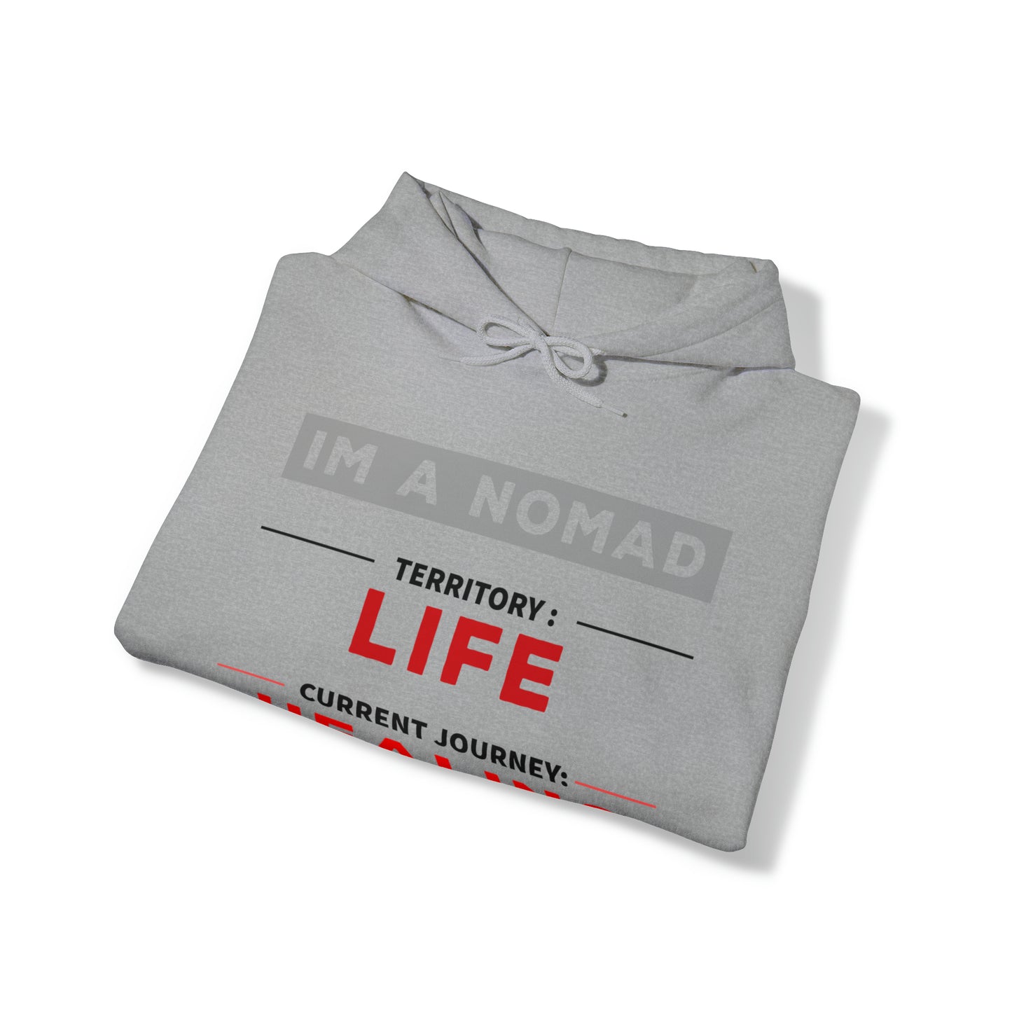 Current journey: Healing - Unisex Heavy Blend™ Hooded Sweatshirt