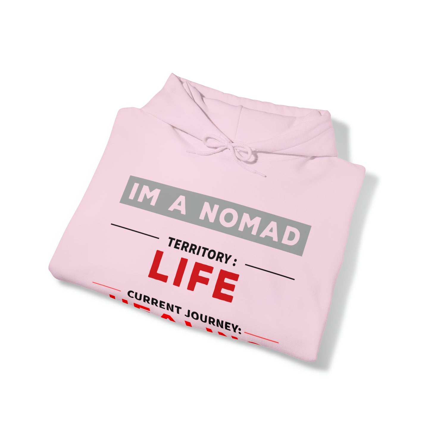 Current journey: Healing - Unisex Heavy Blend™ Hooded Sweatshirt