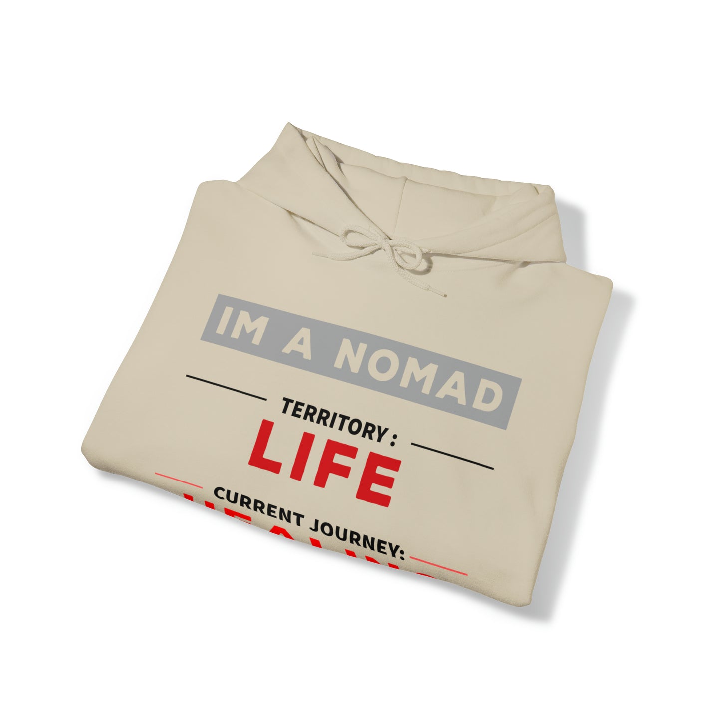 Current journey: Healing - Unisex Heavy Blend™ Hooded Sweatshirt