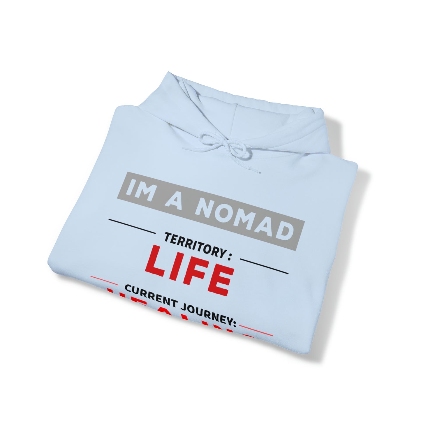 Current journey: Healing - Unisex Heavy Blend™ Hooded Sweatshirt